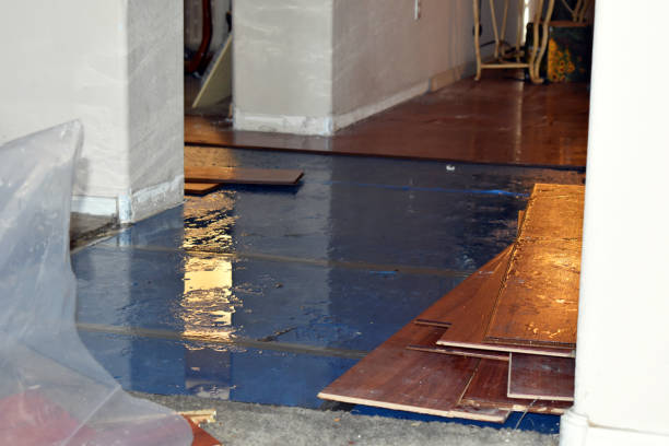 Professional Burst Pipe Cleanup technician working in Lester, AL