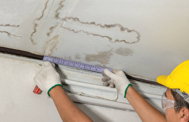Reliable Burst Pipe Cleanup contractor in Lester, AL by Water Damage Irwin